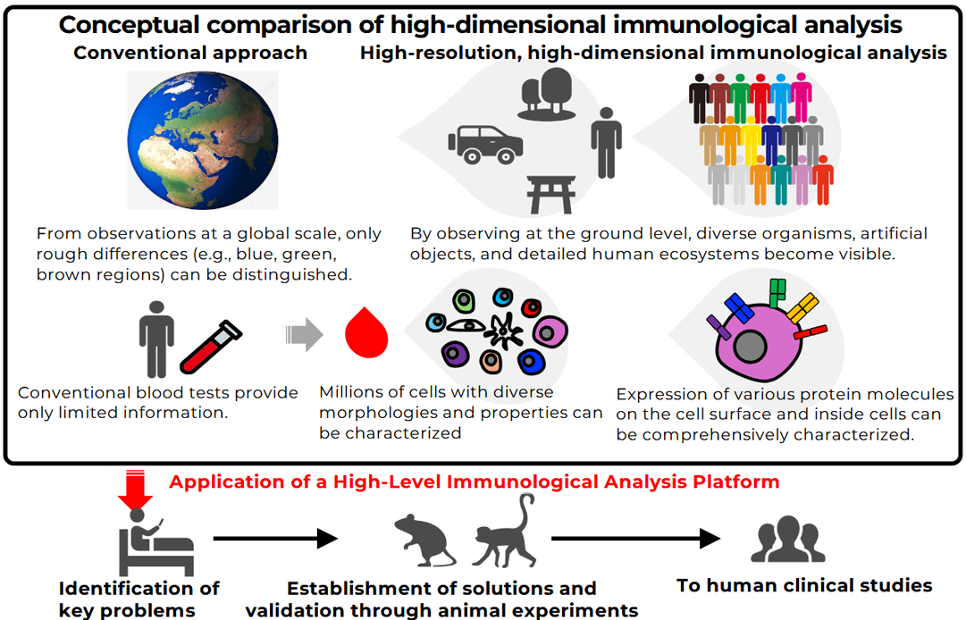 Introduction of Higher Level Immunological Analysis Platform
