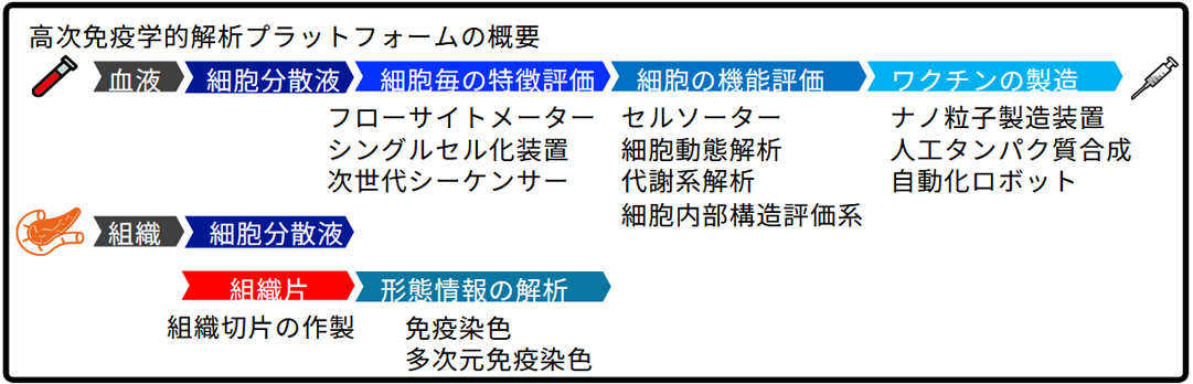 高次免疫学的解析プラットフォームの概要