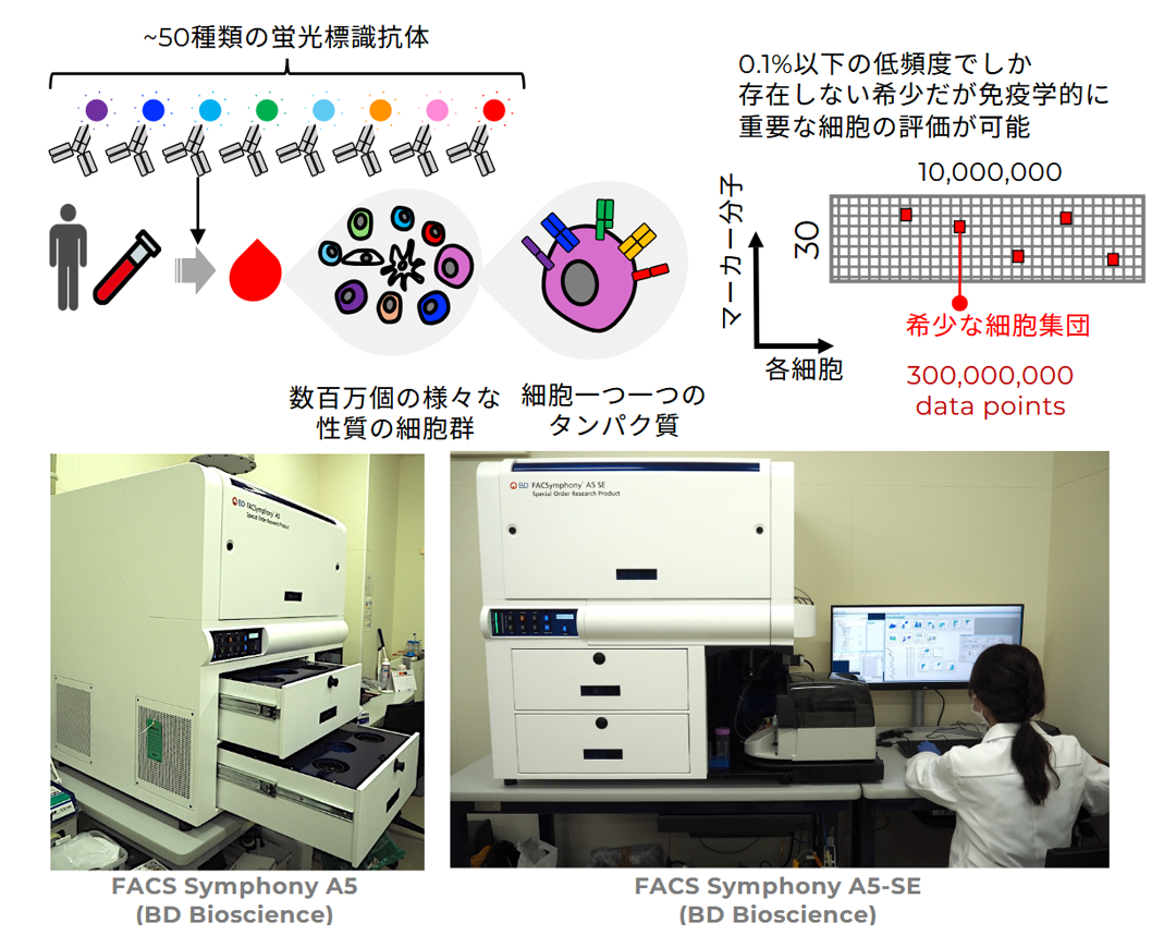 ハイパラメーターフローサイトメーター（分析用）