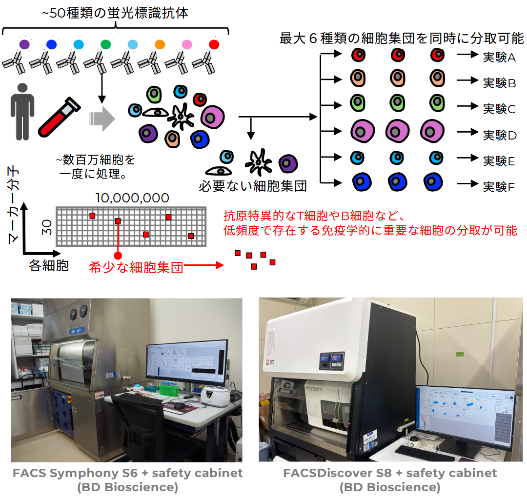 ハイパラメーターセルソーター（細胞分取用）