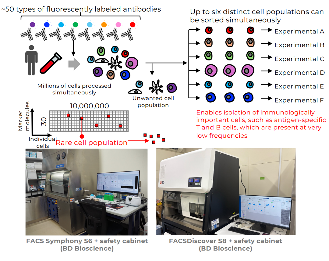 High-parameter flow cytometer (for cell sorting)