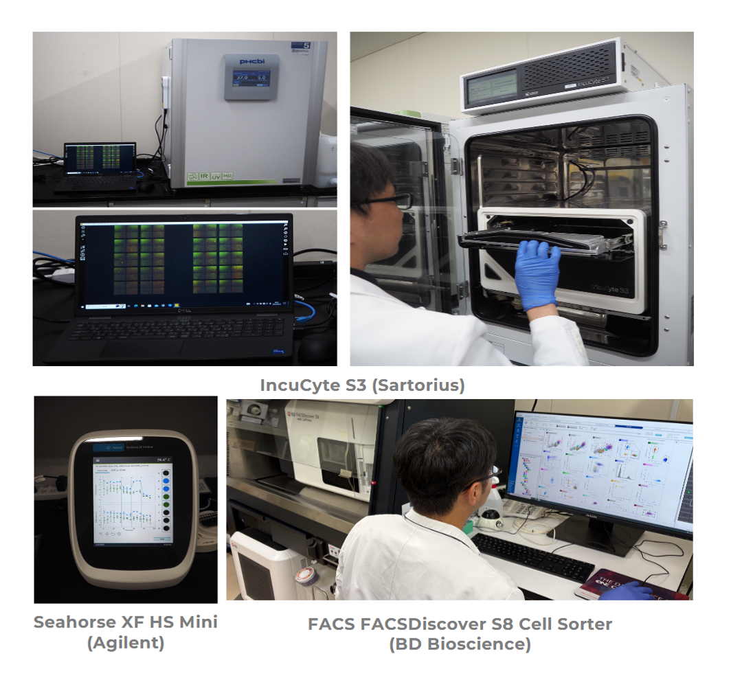 T細胞機能解析プラットフォーム