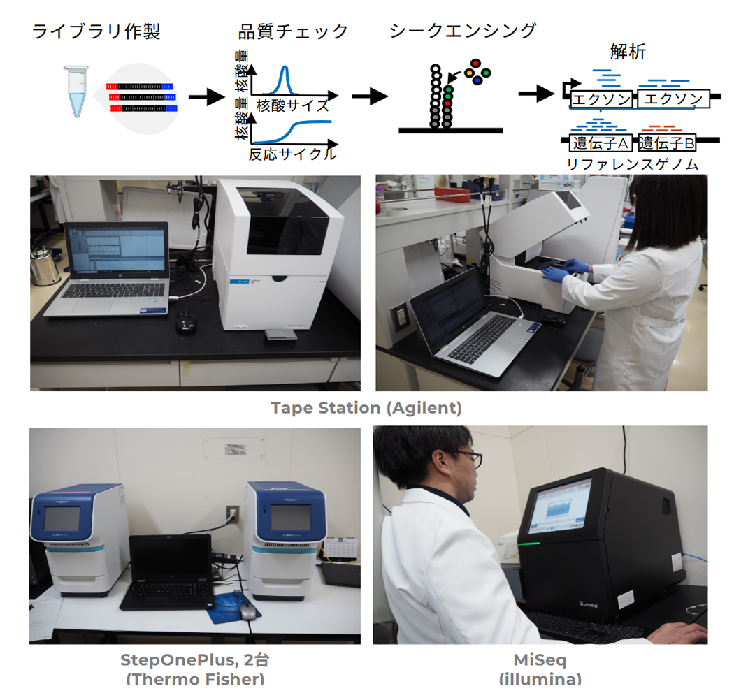 次世代シーケンスプラットフォーム