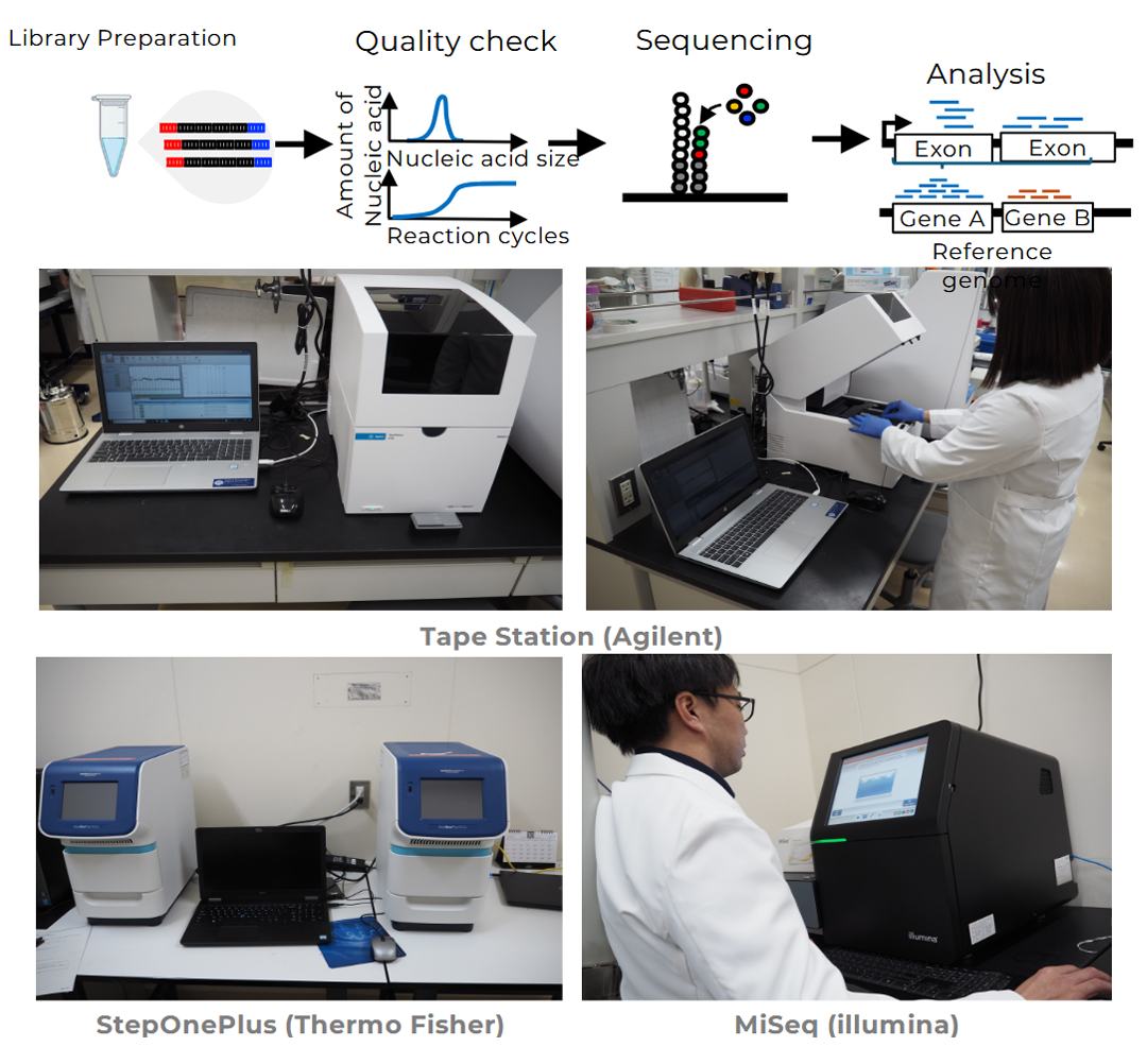 Next Generation Sequencing Platform