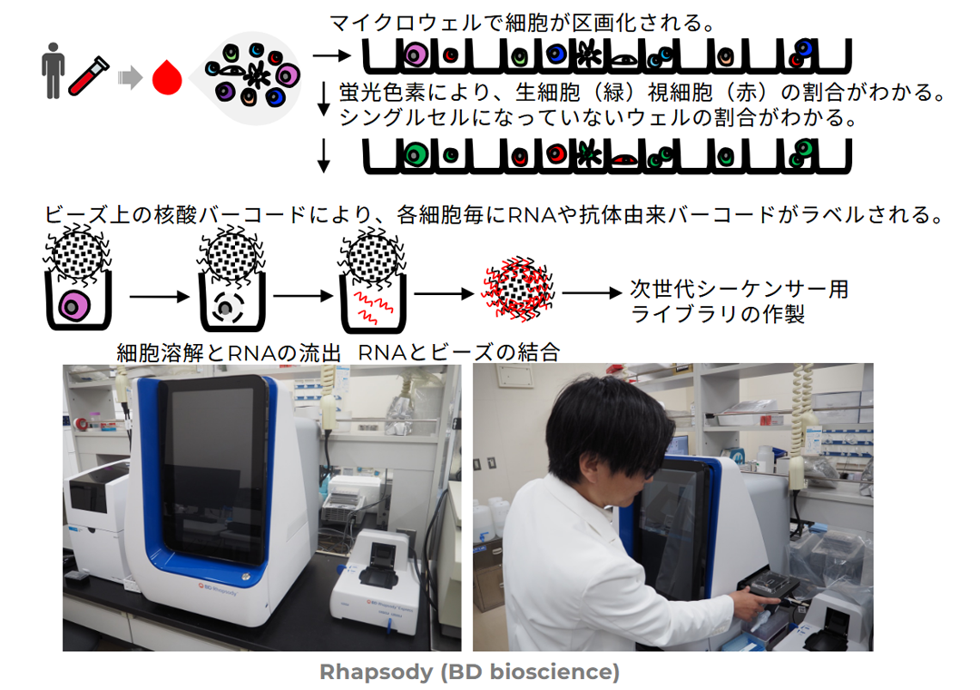 BD社のMicrowell ベースのscRNAseq / AbSeq