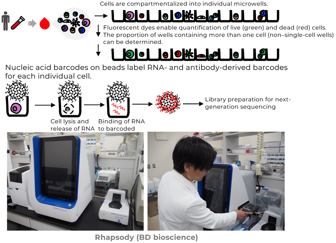 BD's Microwell-based scRNAseq / AbSeq