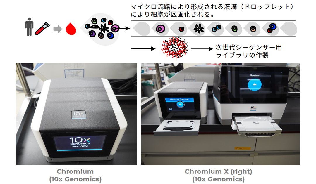 10xGenomics社のドロップレットベースのscRNAseq