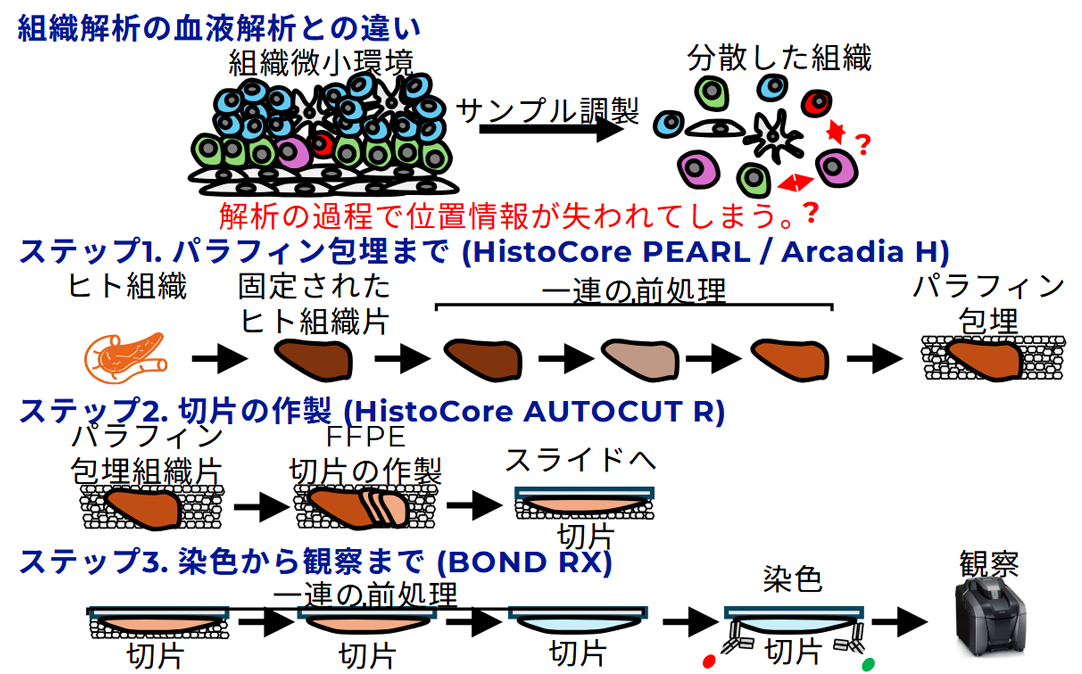 セミオートマチック組織切片分析プラットフォーム