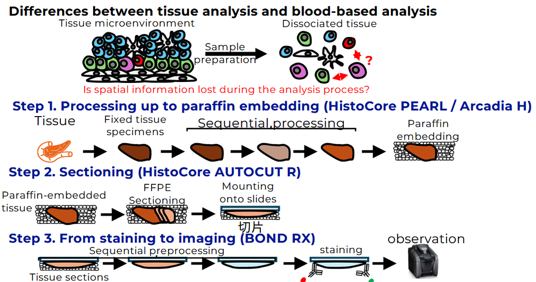 Semi-automatic tissue section analysis platform