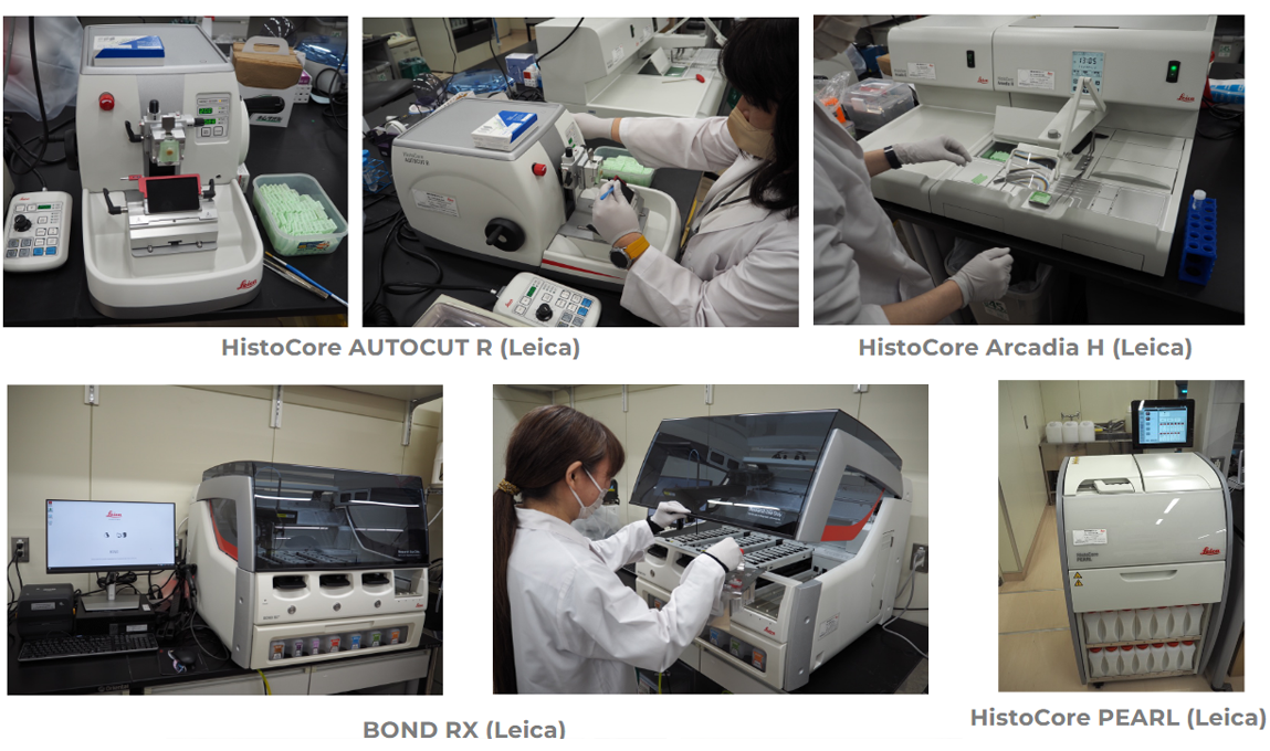 Semi-automatic tissue section analysis platform