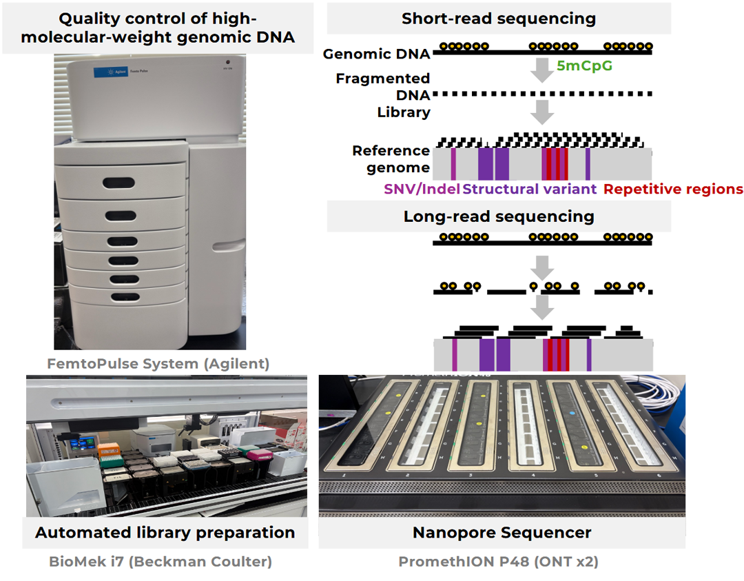 Long-read Sequencing Analysis Platform