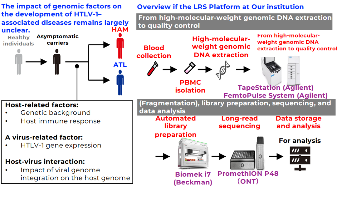 HTLV-1–associated Diseases (ATL/HAM): Immunogenomic and Multi-omics Analysis of Disease States