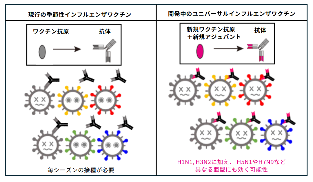 インフルエンザワクチンへの応用