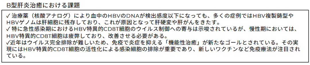 functional cureを目指したB型肝炎ウイルス治療用ワクチンの開発