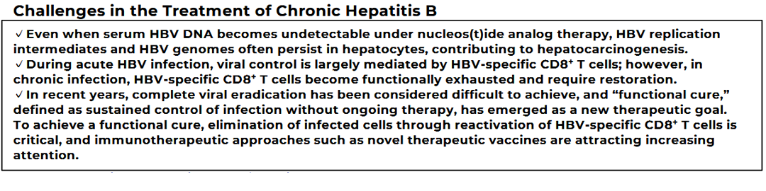 Development of a Therapeutic Vaccine for Hepatitis B Virus Aimed at Achieving a Functional Cure