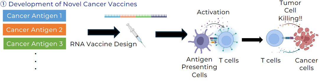 Development of Novel Immunotherapies for Hard-to-Treat Cancers
