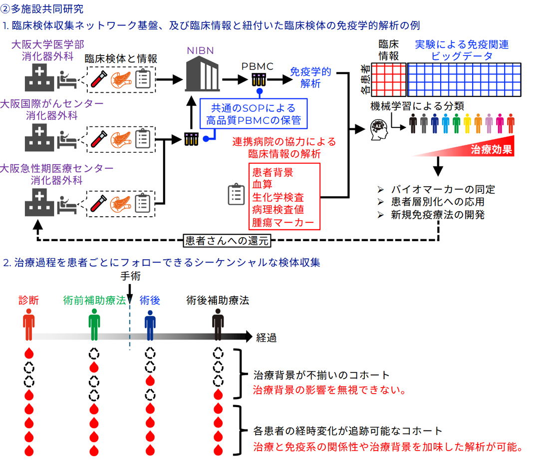 難治性がんに対する新規がん免疫療法の開発